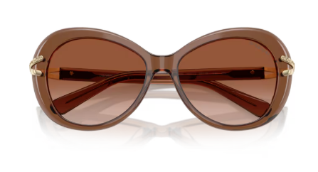 Sonnenbrille Swarovski- 0SK6026 - 106713 - Braun transparent - Größe(n) 56 (XL)