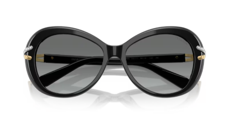 Sonnenbrille Swarovski- 0SK6026 - 100111 - Schwarz - Größe(n) 56 (XL)