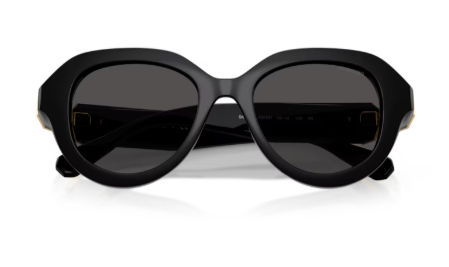 Sonnenbrille Swarovski- 0SK6037 - 100187 - Schwarz - Größe(n) 50 (XS)