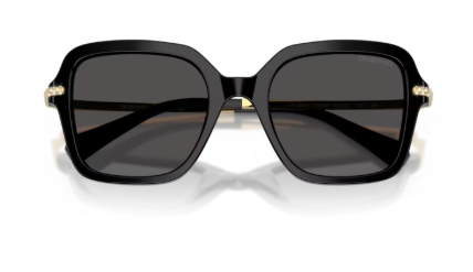 Sonnenbrille Swarovski- 0SK6040 -100187 - Schwarz - Größe(n) 50 (M)