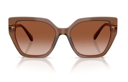 Sonnenbrille Swarovski 0SK6016 - 106713 - Braun transparent - Größe(n) 56 (M)