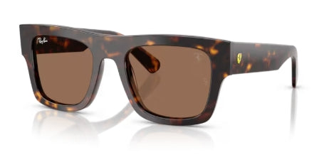 Sonnenbrille RAY BAN - 0RB2217M - F61373 Havana - Größe(n) 53 (L)