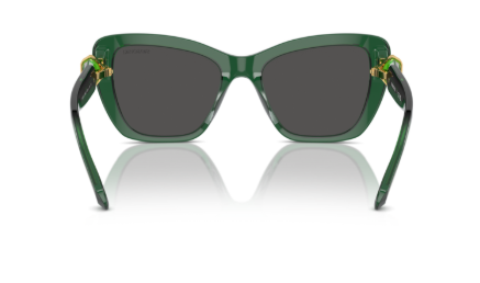 Sonnenbrille Swarovski- 0SK6018 - 104587 - Dunkelgrün transparent - Größe(n) 52 (XXS)