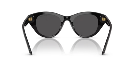 Sonnenbrille Swarovski - 0SK6025 - 100187 - Schwarz - Größe(n) 47 (S)