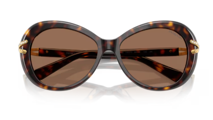 Sonnenbrille Swarovski- 0SK6026 -  100273 - Havana - Größe(n) 56 (XL)