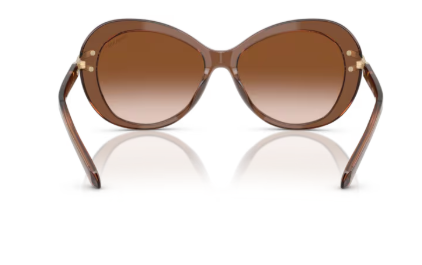 Sonnenbrille Swarovski- 0SK6026 - 106713 - Braun transparent - Größe(n) 56 (XL)