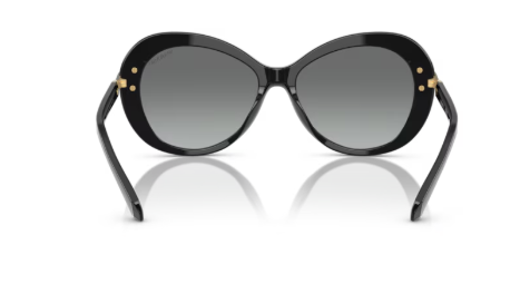 Sonnenbrille Swarovski- 0SK6026 - 100111 - Schwarz - Größe(n) 56 (XL)