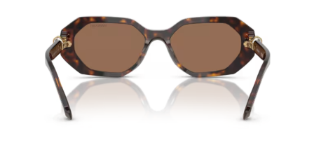 Sonnenbrille Swarovski- 0SK6028 - 100273 - Dunkelhavana - Größe(n) 54 (S)
