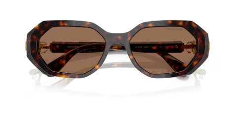 Sonnenbrille Swarovski- 0SK6028 - 100273 - Dunkelhavana - Größe(n) 54 (S)