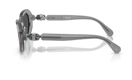 Sonnenbrille Swarovski- 0SK6028 - 10626G - Dunkelgrau transparent - Größe(n) 54 (S)