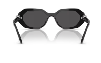 Sonnenbrille Swarovski- 0SK6028 - 100187 - Schwarz - Größe(n) 54 (S)