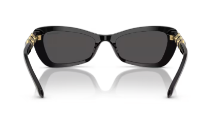 Sonnenbrille Swarovski- 0SK6033 - 100187 - Schwarz - Größe(n) 54 (M)