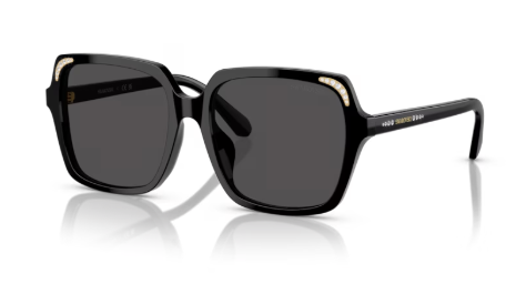 Sonnenbrille Swarovski-  0SK6034D - 100187 - Schwarz -  Größe(n) 56 (L)