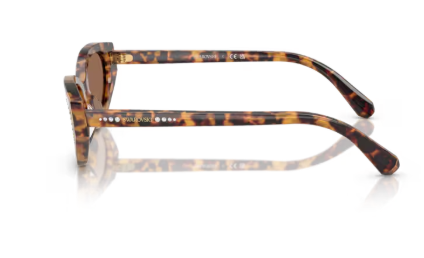 Sonnenbrille Swarovski- 0SK6030 - 104073 - Havana medio  - Größe(n) 52 (S)