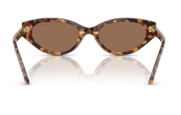 Sonnenbrille Swarovski- 0SK6030 - 104073 - Havana medio  - Größe(n) 52 (S)