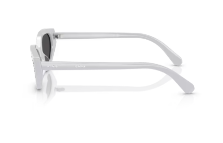 Sonnenbrille Swarovski- 0SK6030 - 106087 - Hellgrau - Größe(n) 52 (S)