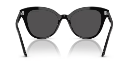 Sonnenbrille Swarovski-  0SK6031 - 100187 - Schwarz - Größe(n) 53 (L)