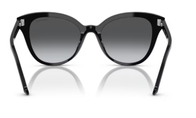 Sonnenbrille Swarovski- 0SK6031 - 1001T3 - Schwarz - Größe(n) 53 (L) - Verlauf grau polarisiert