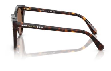 Sonnenbrille Swarovski- 0SK6031 - 100273 - Dunkelhavana - Größe(n) 53 (L)