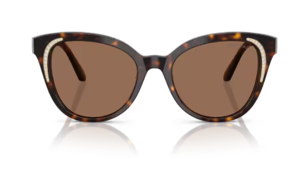 Sonnenbrille Swarovski- 0SK6031 - 100273 - Dunkelhavana - Größe(n) 53 (L)