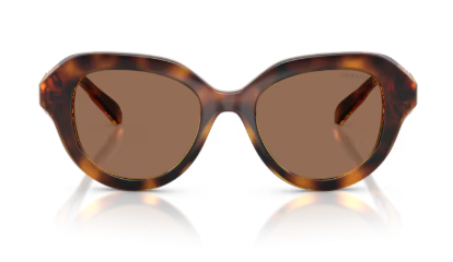 Sonnenbrille Swarovski-  0SK6037 - 100273 - Havana - Größe(n) 50 (XS)