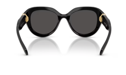 Sonnenbrille Swarovski- 0SK6037 - 100187 - Schwarz - Größe(n) 50 (XS)