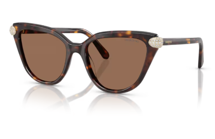 Sonnenbrille Swarovski- 0SK6039 - 100273 - Havana - Größe(n) 56 (L)