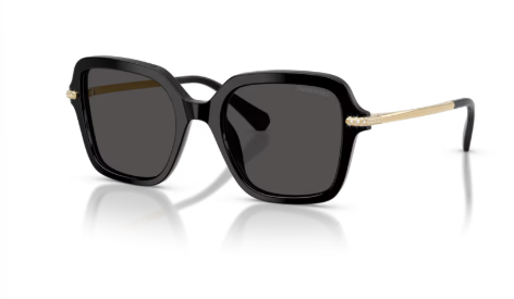 Sonnenbrille Swarovski-  0SK6040 -100187 - Schwarz - Größe(n) 50 (M)