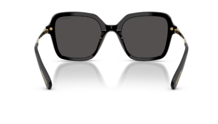 Sonnenbrille Swarovski-  0SK6040 -100187 - Schwarz - Größe(n) 50 (M)