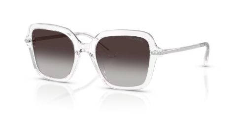 Sonnenbrille Swarovski- 0SK6040 - 10278G - Transparent - Größe(n) 50 (M)
