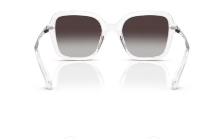Sonnenbrille Swarovski- 0SK6040 - 10278G - Transparent - Größe(n) 50 (M)