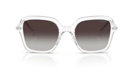 Sonnenbrille Swarovski- 0SK6040 - 10278G - Transparent - Größe(n) 50 (M)