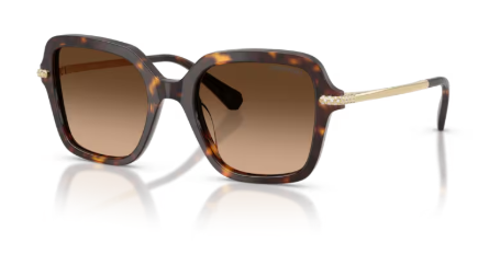 Sonnenbrille Swarovski- 0SK6040 - 100274 - Havana -  Größe(n) 50 (M)