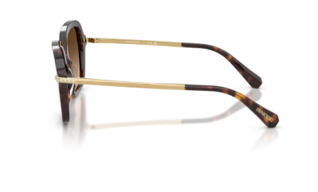Sonnenbrille Swarovski- 0SK6040 - 100274 - Havana -  Größe(n) 50 (M)