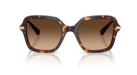 Sonnenbrille Swarovski- 0SK6040 - 100274 - Havana -  Größe(n) 50 (M)