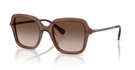 Sonnenbrille Swarovski- 0SK6040 - 106713 - Braun transparent - Größe(n) 50 (M)