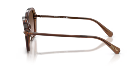 Sonnenbrille Swarovski- 0SK6040 - 106713 - Braun transparent - Größe(n) 50 (M)