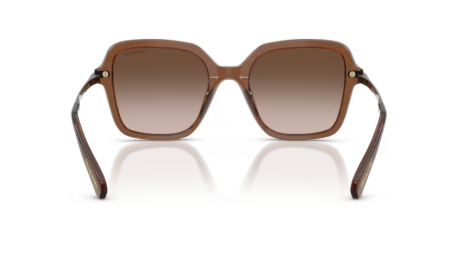 Sonnenbrille Swarovski- 0SK6040 - 106713 - Braun transparent - Größe(n) 50 (M)