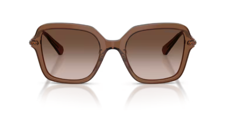 Sonnenbrille Swarovski- 0SK6040 - 106713 - Braun transparent - Größe(n) 50 (M)