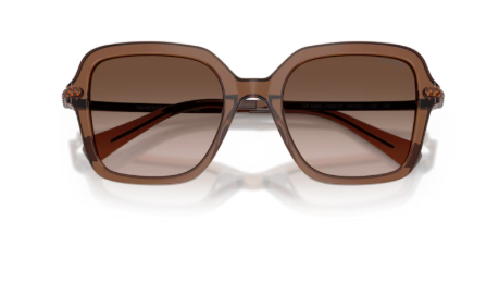 Sonnenbrille Swarovski- 0SK6040 - 106713 - Braun transparent - Größe(n) 50 (M)