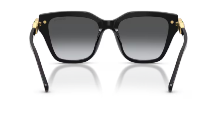 Sonnenbrille Swarovski- 0SK6041 - 1001T3 - Schwarz - Größe(n) 53 (XL) - Polarisiert
