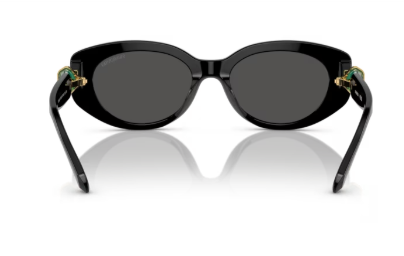 Sonnenbrille Swarovski - 0SK6002 - 100187 - Schwarz - Größe(n) 53 (S)