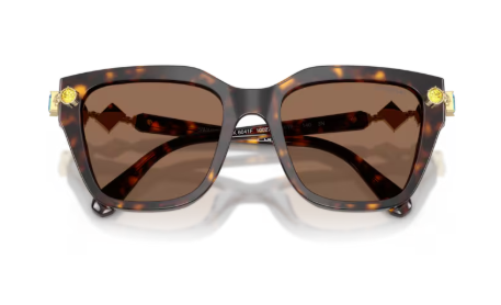 Sonnenbrille Swarovski- 0SK6041 - Farbe: 100273 - Havana - Größe(n) 53 (XL)