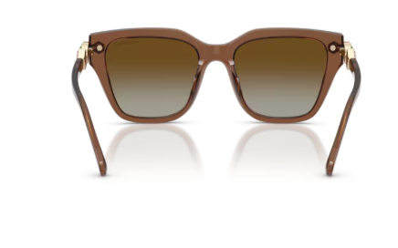 Sonnenbrille Swarovski- 0SK6041 - 1067T5 - Braun transparent - Größe(n) 53 (XL)