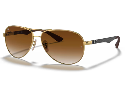 Sonnebrille Ray Ban- 0RB8313 001/51 - CARBON FIBRE - Arista gold- Größe: 61