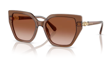 Sonnenbrille Swarovski 0SK6016 - 106713 - Braun transparent -  Größe(n) 56 (M)