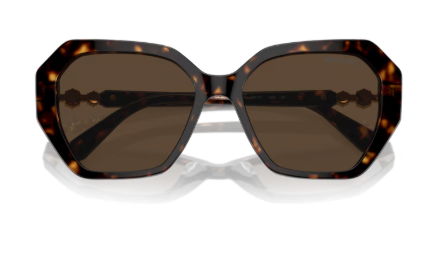 Sonnenbrille Swarovski 0SK6017 - 1002M4 - Dunkelhavana - Größe(n) 56 (M) - Phototrop