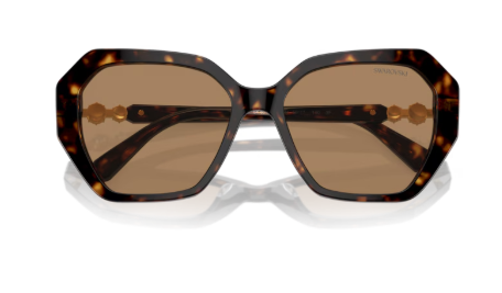 Sonnenbrille Swarovski 0SK6017 - 1002M4 - Dunkelhavana - Größe(n) 56 (M) - Phototrop